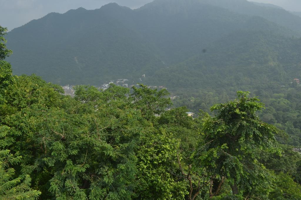 Mount Valley Mama Cottage Rishīkesh Quarto foto